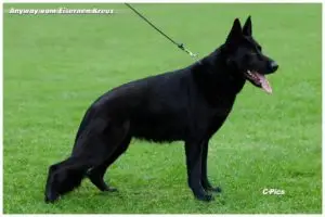 Anyway vom Eisernen Kreuz