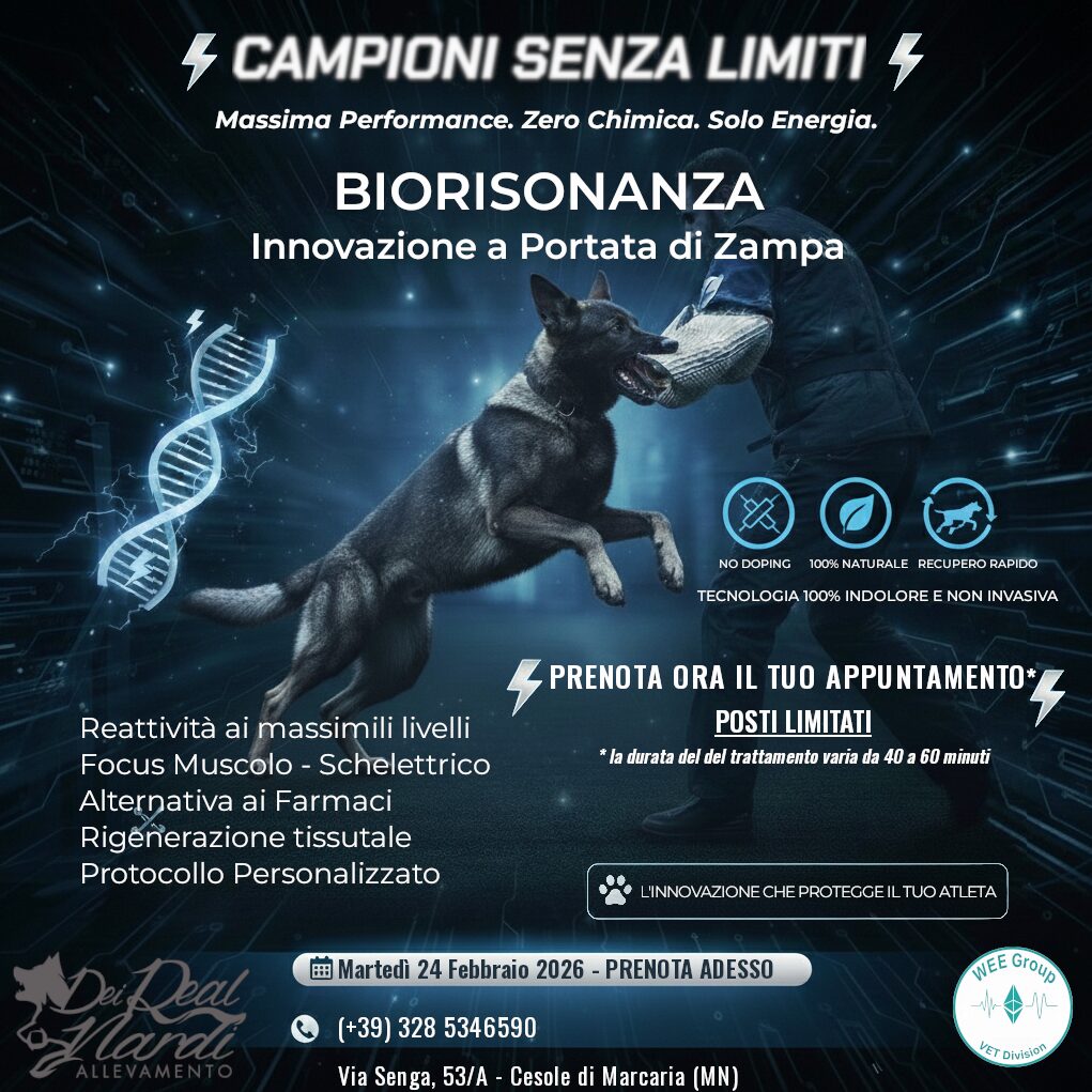 Campioni Senza Limiti - Mantova